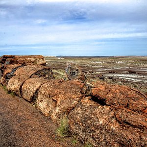 Baymont by Wyndham at Holbrook Arizona