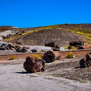 Baymont by Wyndham at Holbrook Arizona
