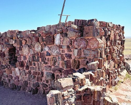 Baymont by Wyndham at Holbrook Arizona